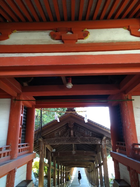 f:id:keichan2020:20201028173346j:image
