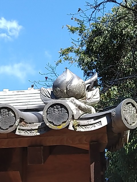 f:id:keichan2020:20201028175247j:image