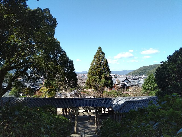 f:id:keichan2020:20201029200608j:plain f:id:keichan2020:20201029200608j:plain