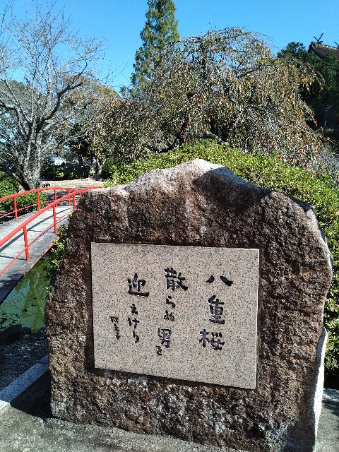 f:id:keichan2020:20201029201527j:plain f:id:keichan2020:20201029201527j:plain