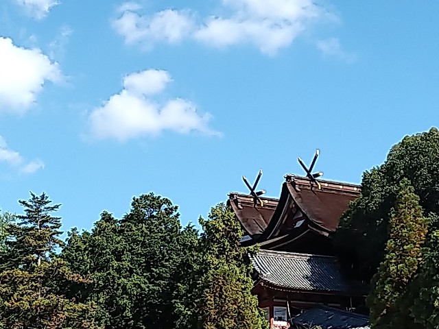 f:id:keichan2020:20201030133419j:plain f:id:keichan2020:20201030133419j:plain