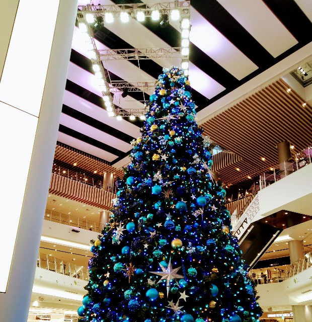 f:id:keichan2020:20201201220159j:image f:id:keichan2020:20201201220159j:image