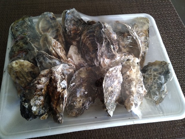 f:id:keichan2020:20201208195954j:plain