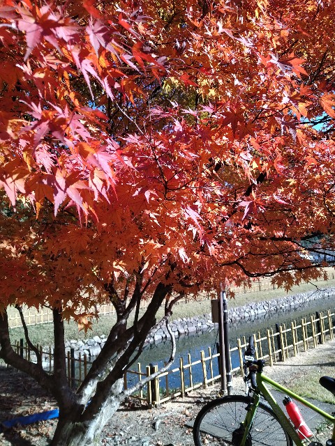 f:id:keichan2020:20201208200918j:plain
