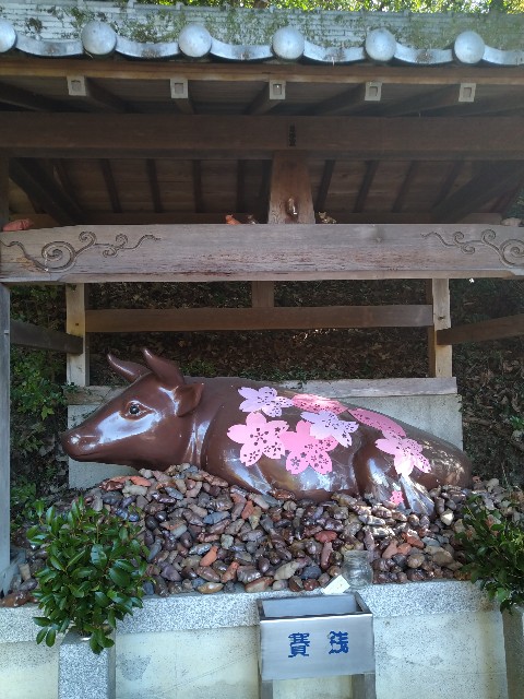 f:id:keichan2020:20201212155635j:image f:id:keichan2020:20201212155635j:image