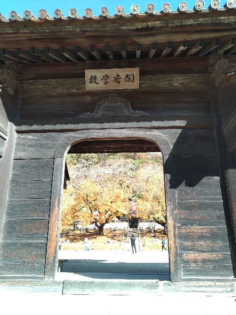 f:id:keichan2020:20201214133324j:image f:id:keichan2020:20201214133324j:image