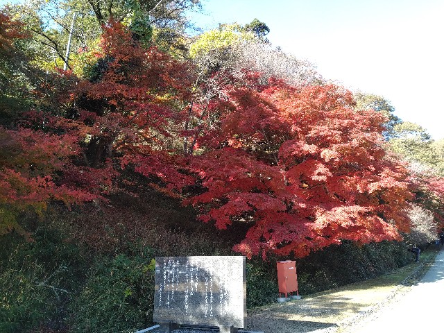 f:id:keichan2020:20201214133412j:image f:id:keichan2020:20201214133412j:image