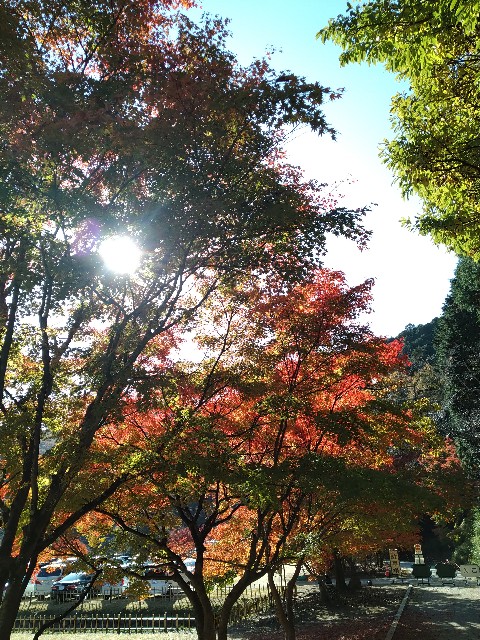 f:id:keichan2020:20201214133440j:image f:id:keichan2020:20201214133440j:image