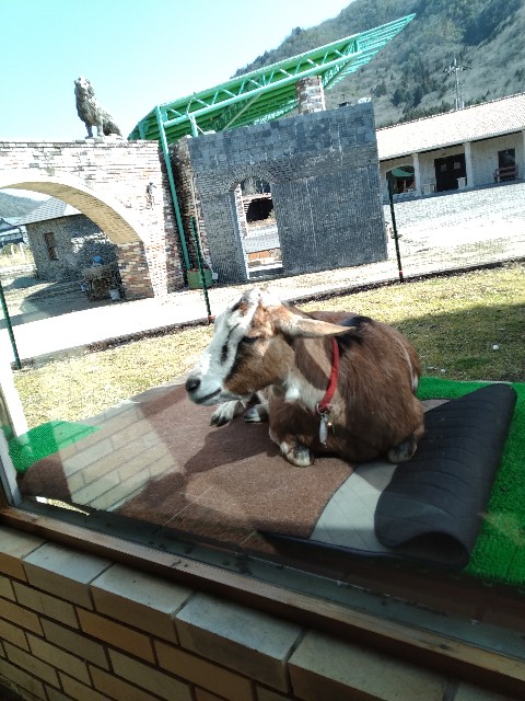 f:id:keichan2020:20210226103122j:image