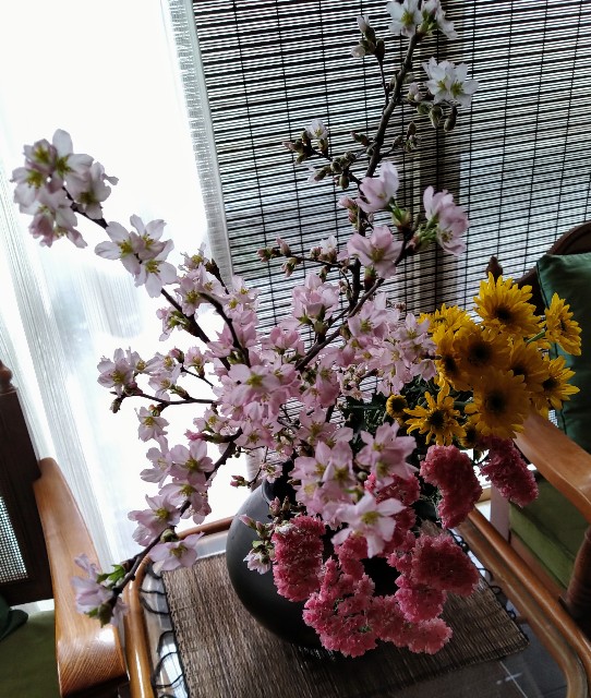 f:id:keichan2020:20210306211648j:image f:id:keichan2020:20210306211648j:image