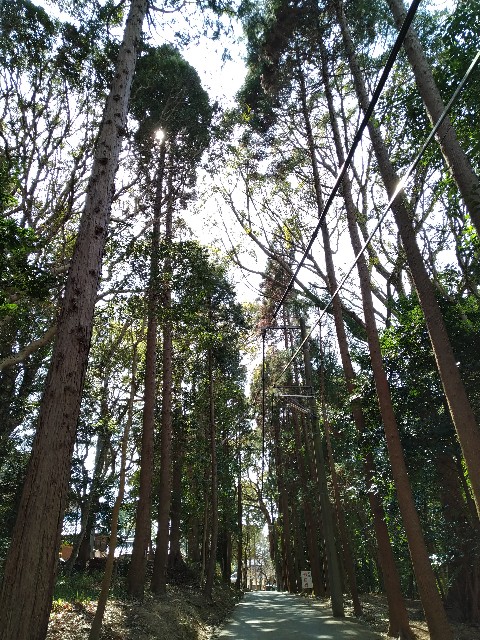 f:id:keichan2020:20210312172828j:image f:id:keichan2020:20210312172828j:image