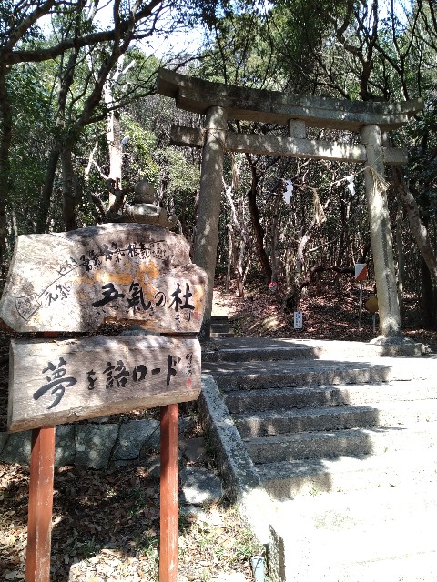f:id:keichan2020:20210312185904j:image f:id:keichan2020:20210312185904j:image