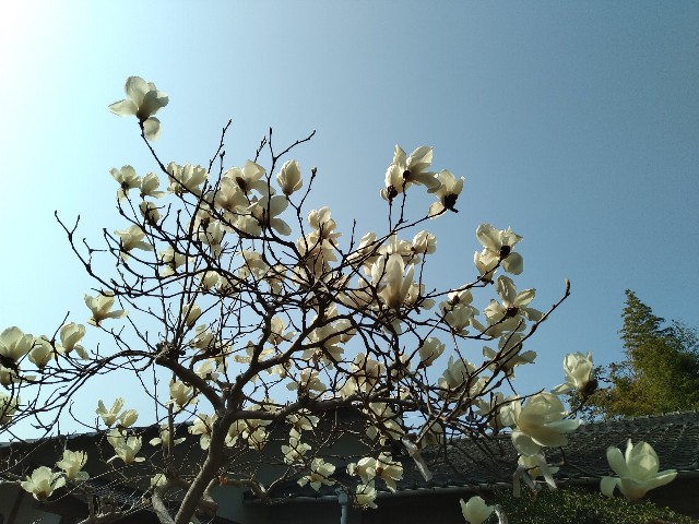 f:id:keichan2020:20210317082344j:image f:id:keichan2020:20210317082344j:image