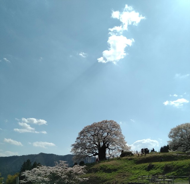 f:id:keichan2020:20210404153802j:image f:id:keichan2020:20210404153802j:image