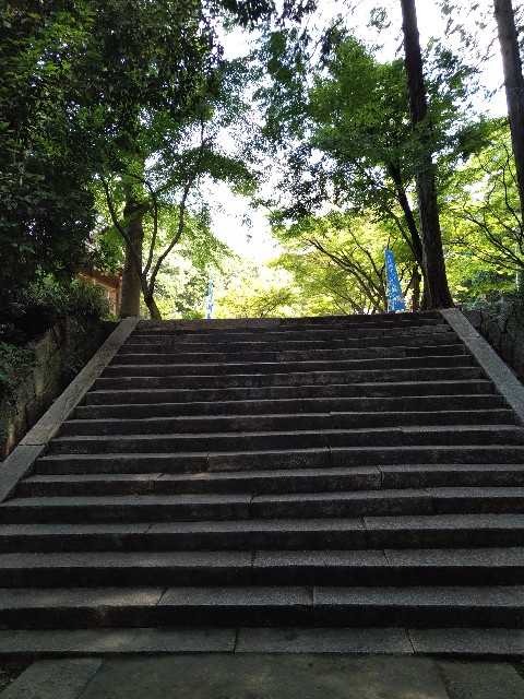 f:id:keichan2020:20210620201655j:image f:id:keichan2020:20210620201655j:image