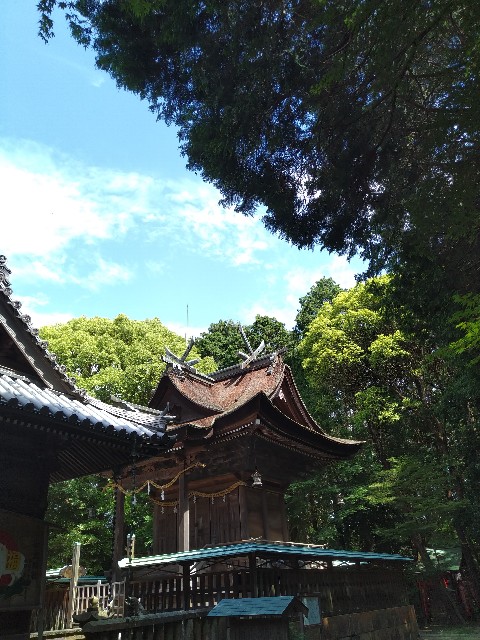 f:id:keichan2020:20210620201919j:image f:id:keichan2020:20210620201919j:image