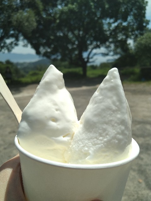 f:id:keichan2020:20210825205545j:image f:id:keichan2020:20210825205545j:image