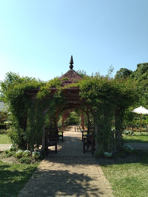 f:id:keichan2020:20220521155647j:image f:id:keichan2020:20220521155647j:image