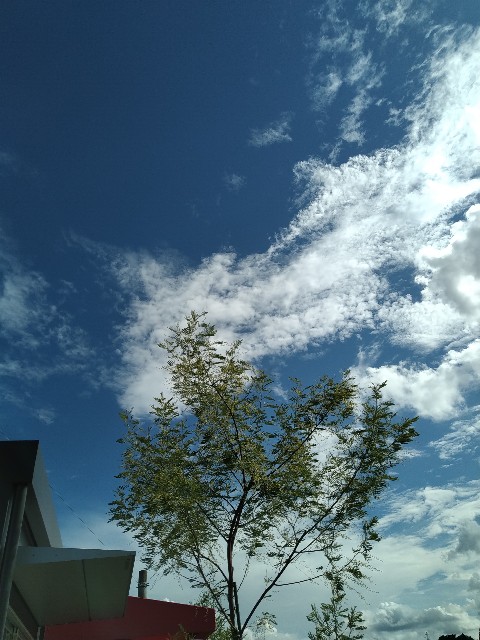 f:id:keichan2020:20220924204732j:image f:id:keichan2020:20220924204732j:image