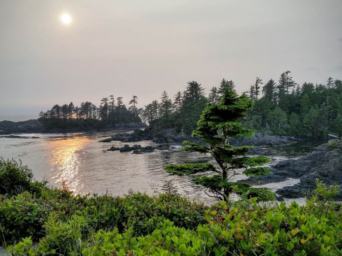 カナダバンクーバー島(Vancouver Island)のトフィーノ(Tofino)とユークルエレット(Ucluelet)