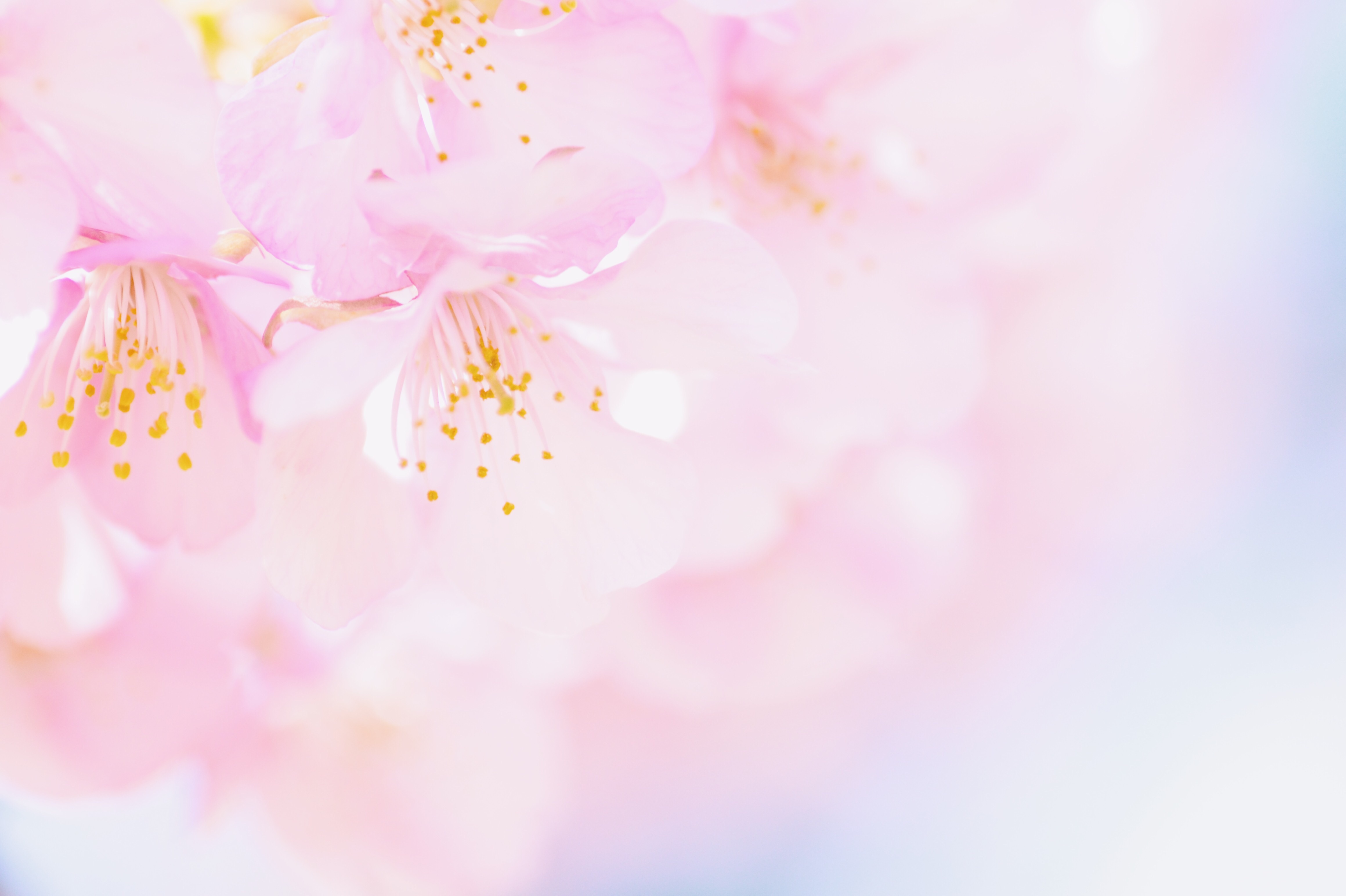 f:id:keicomoment:20170219233512j:image