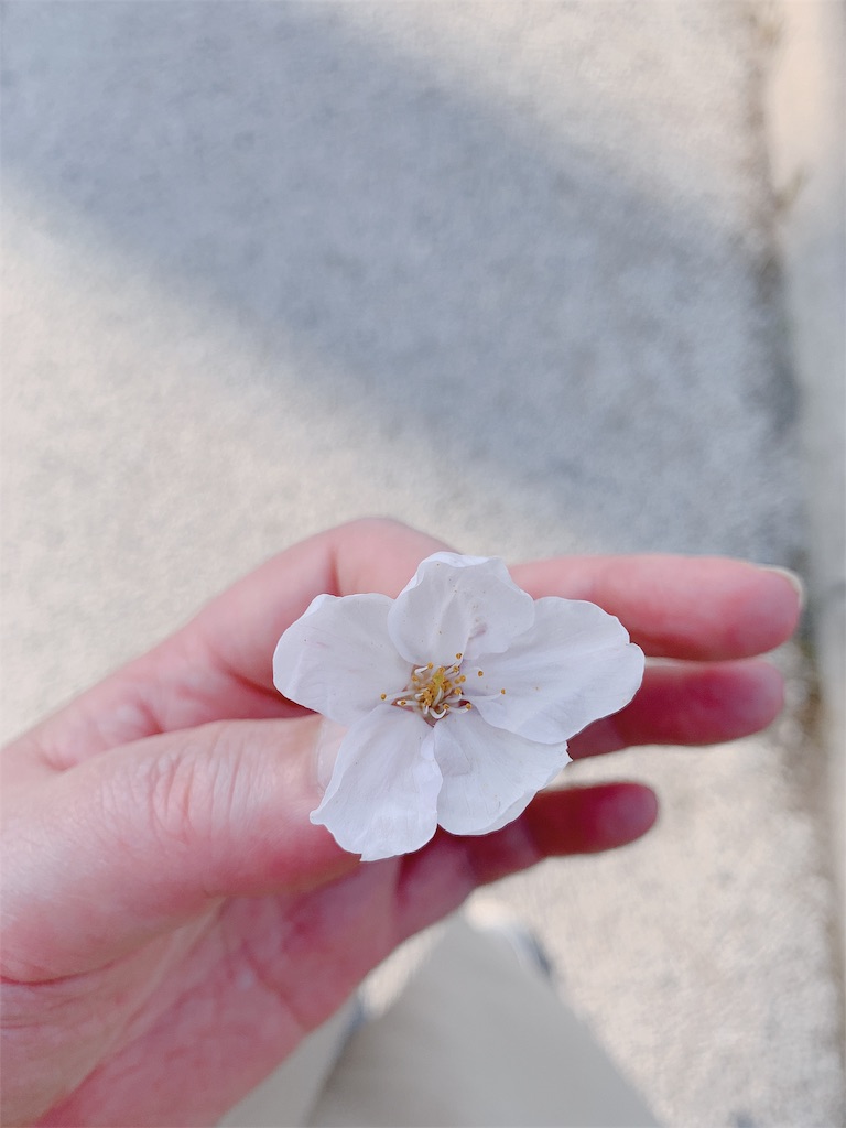 f:id:keicomoment:20190414194409j:image
