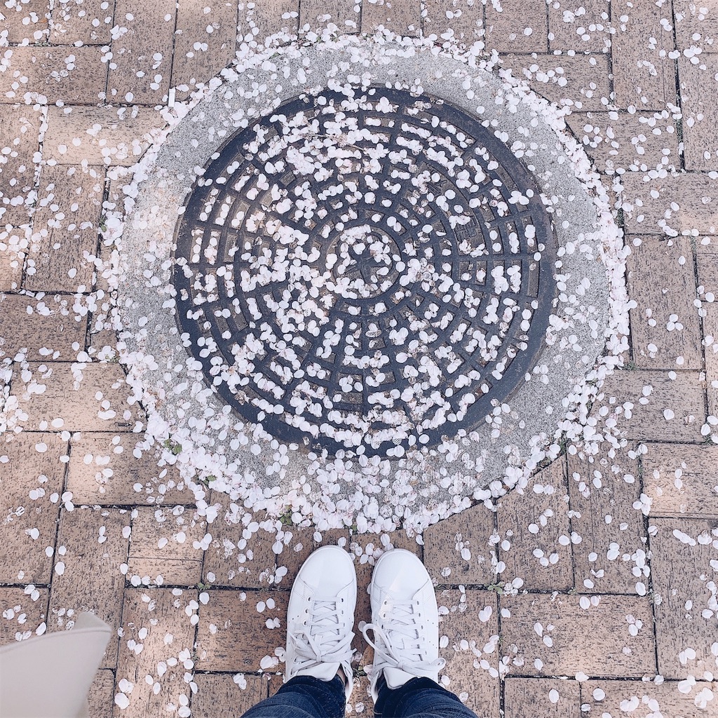 f:id:keicomoment:20190414194446j:image