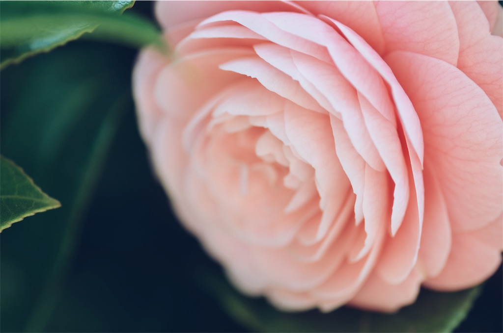 f:id:keicomoment:20190419232153j:image