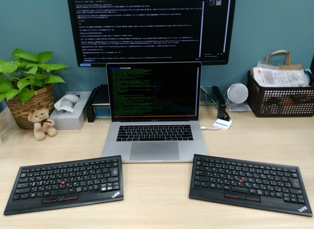 f:id:keicy-silurus:20190122214850j:image:w600 f:id:keicy-silurus:20190122214850j:image:w600