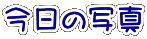 イメージ 114