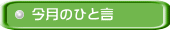 イメージ 13