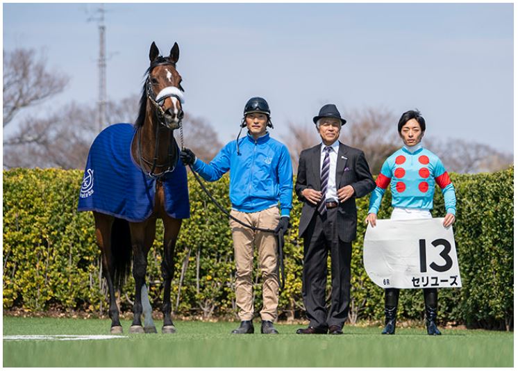 f:id:keigm1155:20190324160237j:plain