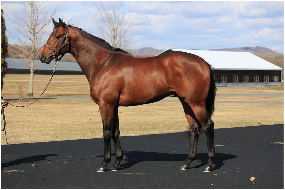 f:id:keigm1155:20190427112914j:plain