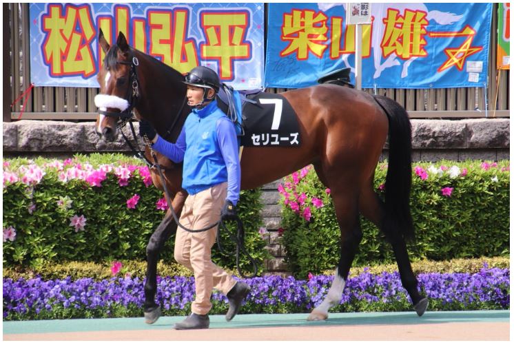 f:id:keigm1155:20190505151119j:plain