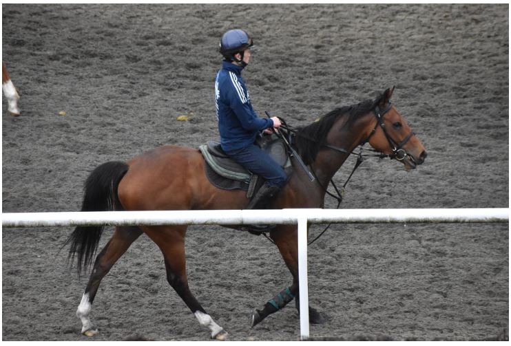 f:id:keigm1155:20190505152553j:plain