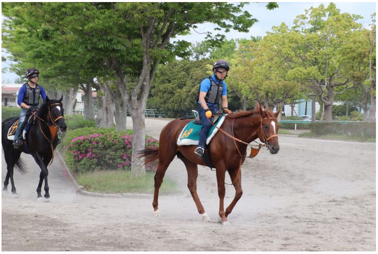 f:id:keigm1155:20190518085759j:plain