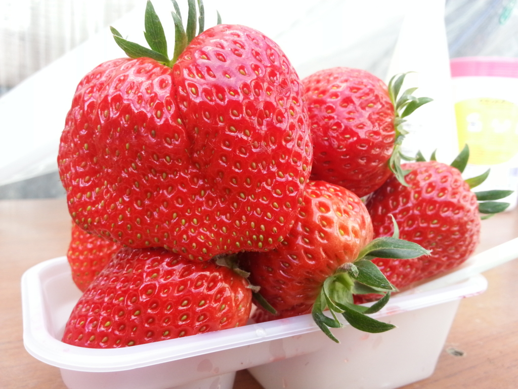 f:id:keigo_papa:20170212144919j:plain