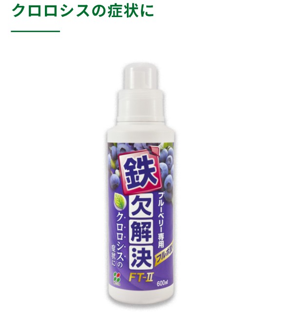 f:id:keigo_papa:20250711065032j:image