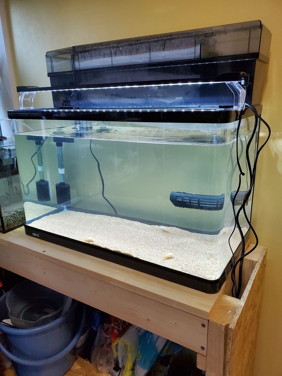 f:id:keigoblogkun:20201207220621j:plain