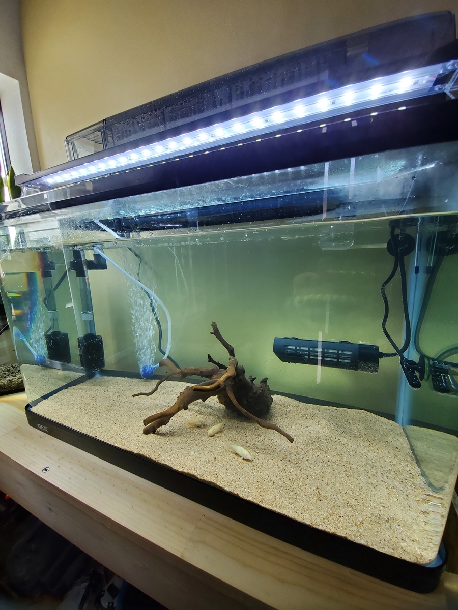 f:id:keigoblogkun:20201207222505j:plain