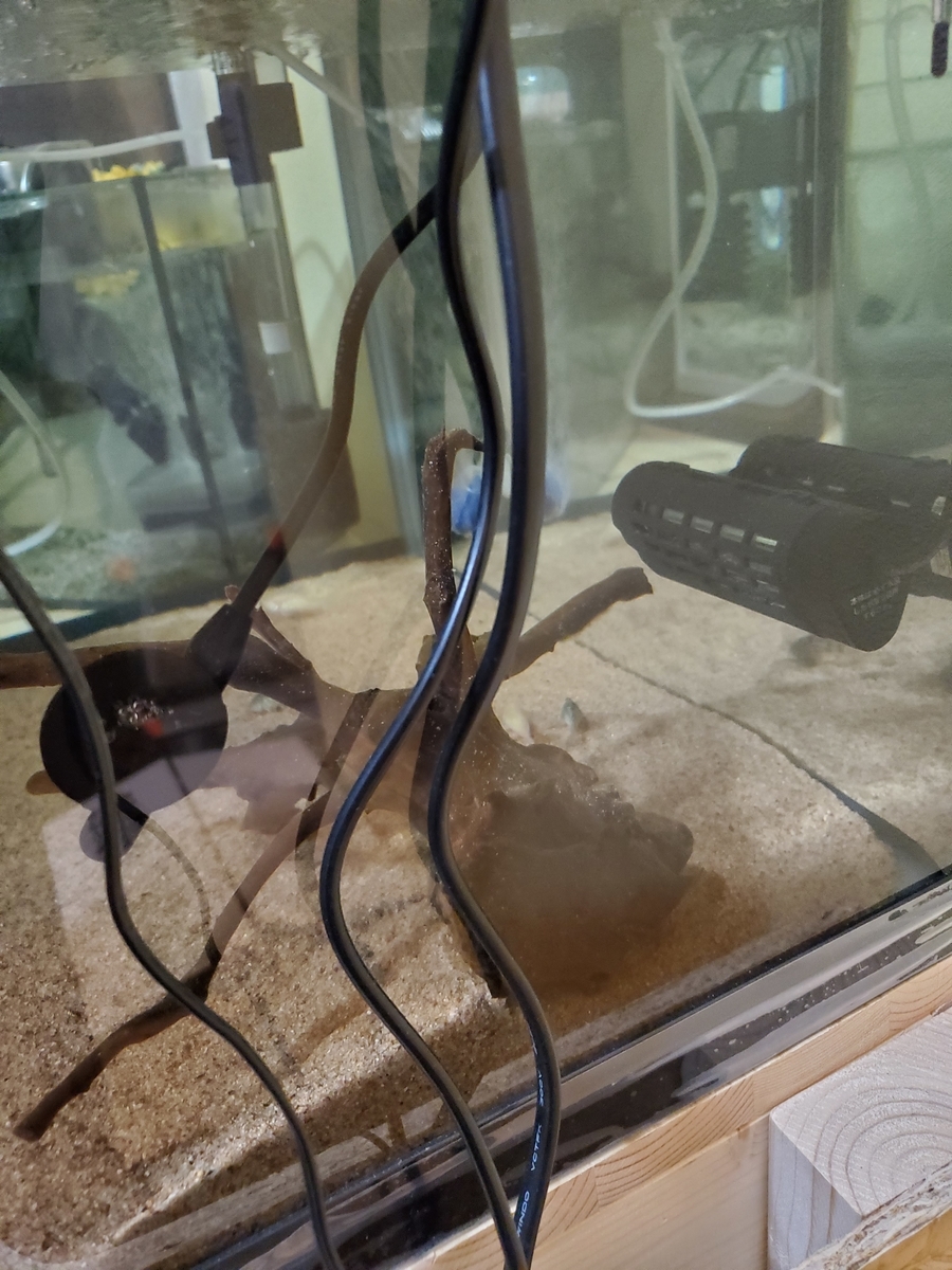 f:id:keigoblogkun:20201217001301j:plain