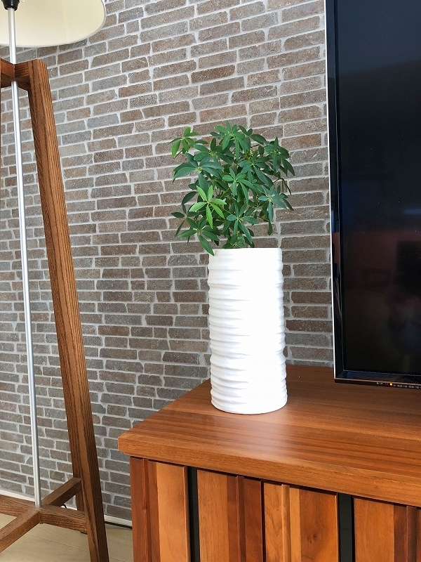 f:id:keigoman:20190120193114j:plain