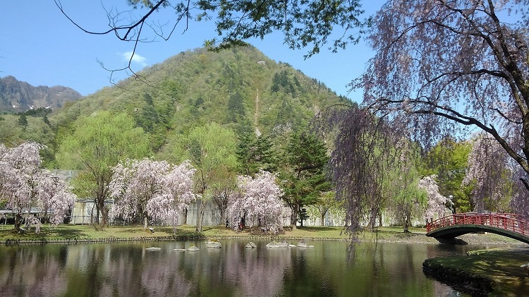 f:id:keigroomac:20190506011514j:plain