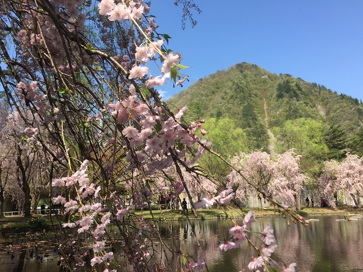 f:id:keigroomac:20190506011532j:plain