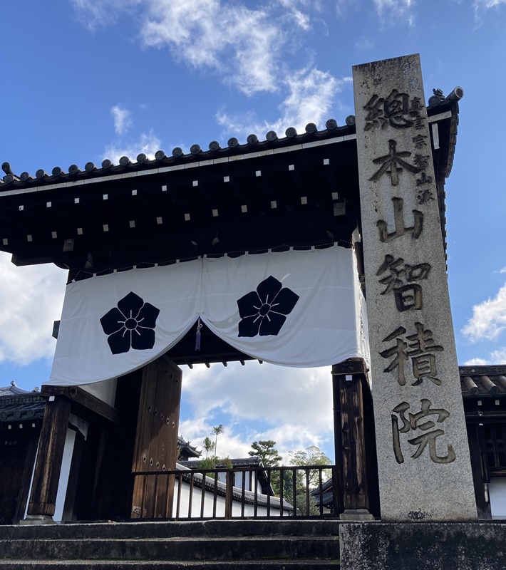 京都ひとり旅で見てきたヨ！① 長谷川等伯【楓図】【桜図】俵屋宗達