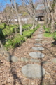 [参道][境内][古刹][山寺][古寺]参道