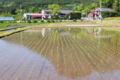 [田んぼ][水田][田園][集落][山麓]田んぼ