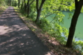 [ダム湖][湖畔][桜並木][遊歩道][散歩道]ダム湖