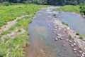 [碓氷川][河川敷][鮎釣り][アユ釣り][中瀬大橋]碓氷川