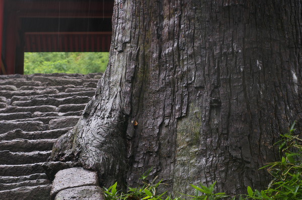 f:id:keihirota:20150213231021j:image